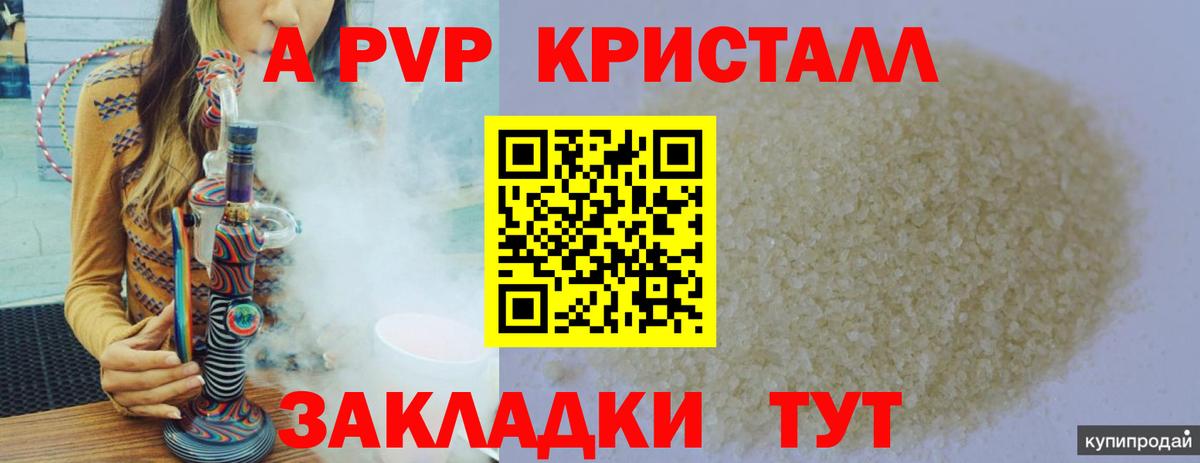 Alfa_PVP СК Калининград