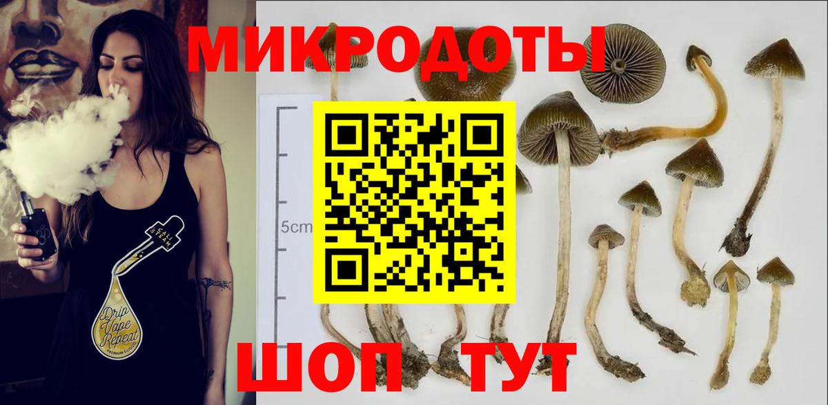 Галлюциногенные грибы мицелий  Псилоцибиновые грибы Psilocybe  Калининград  Вход с VPN 
