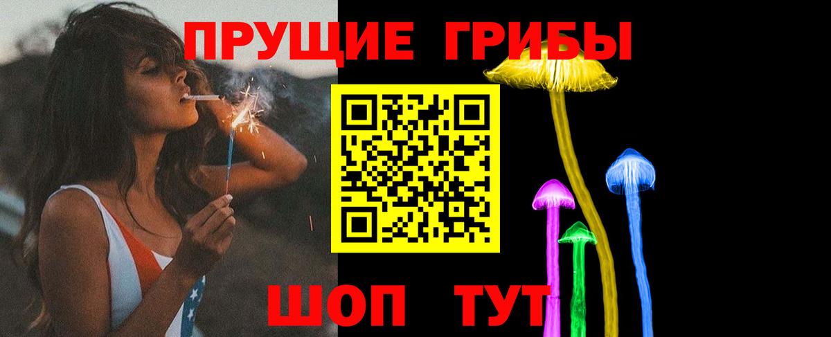Псилоцибиновые грибы Cubensis Калининград